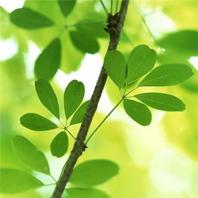 澳门新莆京游戏手机app下载