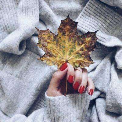 天天中彩票app下载