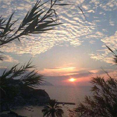 奇亿果体育官方,下载