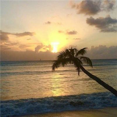 爱游戏网页版官方入口