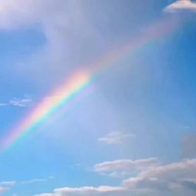 KOK·综合体育app