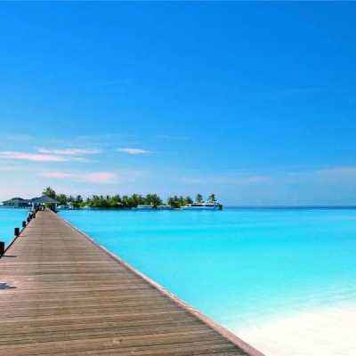 真人斗牛牛最新版手机app下载截图