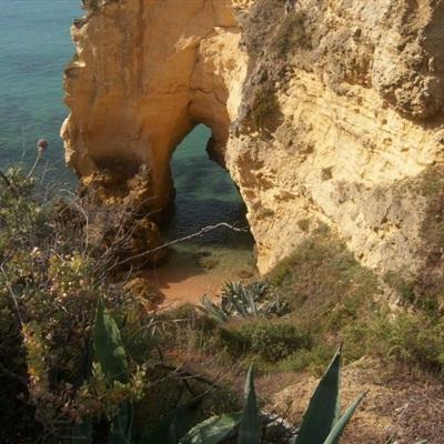 乐鱼娱乐appapp下载截图