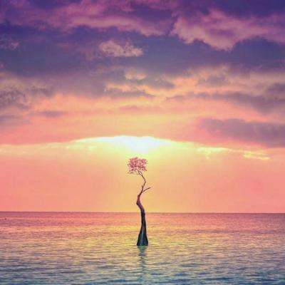 万博全站APP官网登录