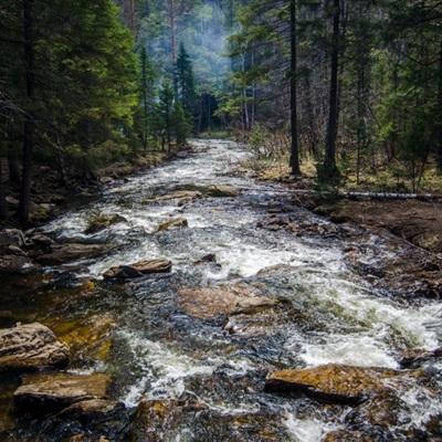 金博宝官网手机app下载